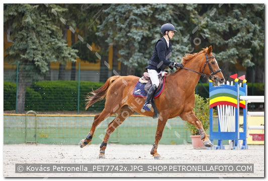 A kép az eredeti csökkentett reprezentációja