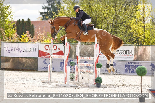 A kép az eredeti csökkentett reprezentációja