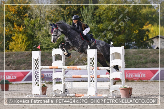 A kép az eredeti csökkentett reprezentációja