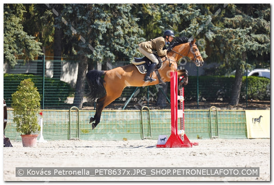 A kép az eredeti csökkentett reprezentációja