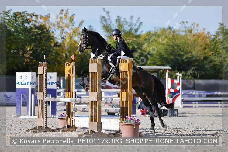 A kép az eredeti csökkentett reprezentációja