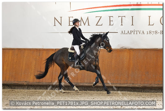 A kép az eredeti csökkentett reprezentációja