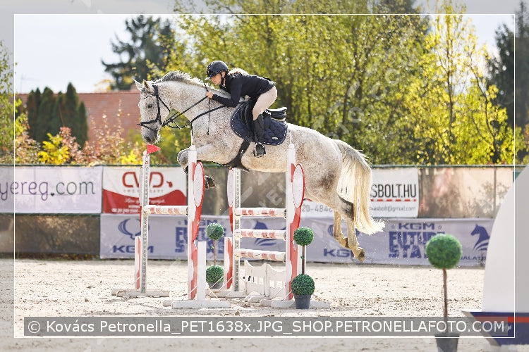 A kép az eredeti csökkentett reprezentációja