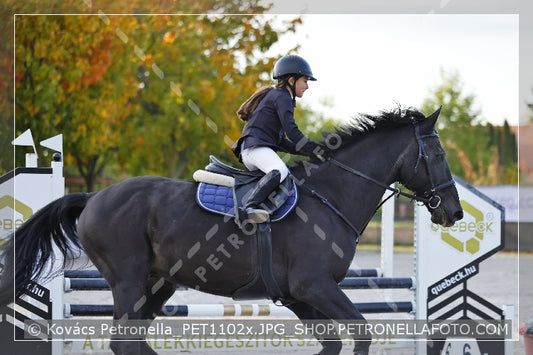 A kép az eredeti csökkentett reprezentációja