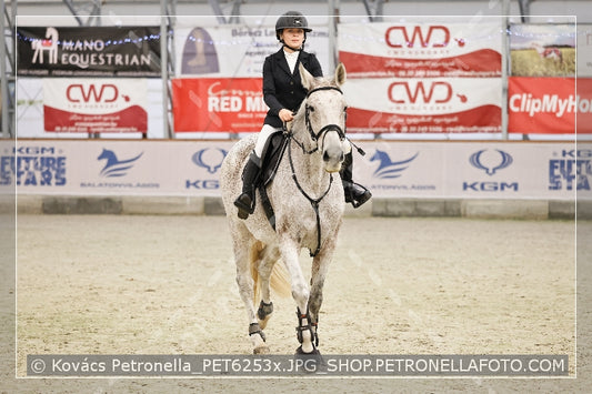 A kép az eredeti csökkentett reprezentációja