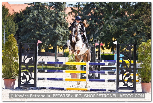 A kép az eredeti csökkentett reprezentációja