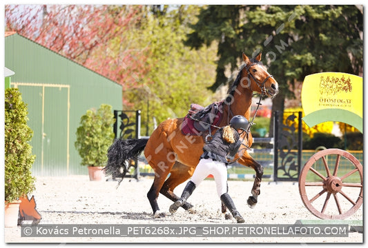 A kép az eredeti csökkentett reprezentációja
