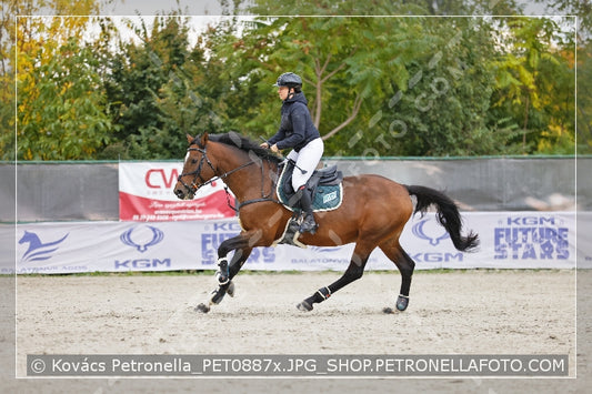 A kép az eredeti csökkentett reprezentációja