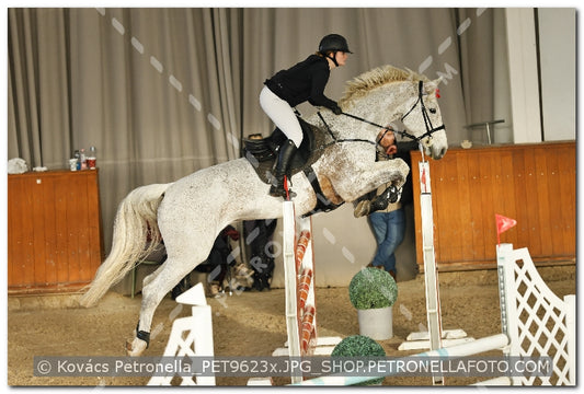 A kép az eredeti csökkentett reprezentációja