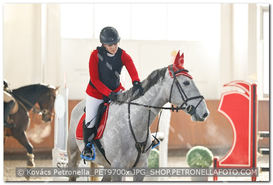 A kép az eredeti csökkentett reprezentációja