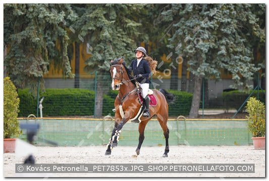 A kép az eredeti csökkentett reprezentációja