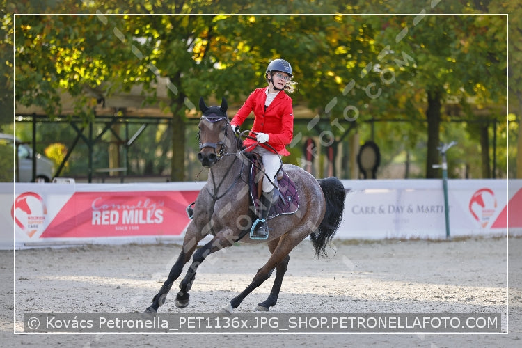 A kép az eredeti csökkentett reprezentációja
