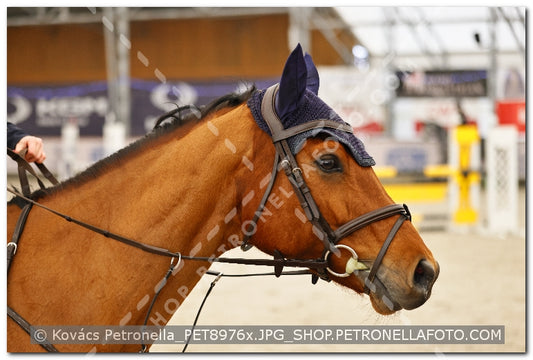 A kép az eredeti csökkentett reprezentációja