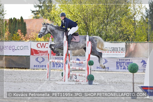 A kép az eredeti csökkentett reprezentációja