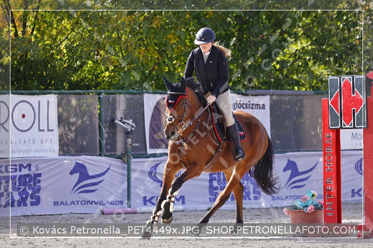 A kép az eredeti csökkentett reprezentációja