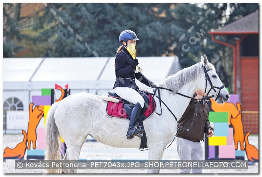 A kép az eredeti csökkentett reprezentációja