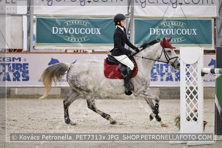 A kép az eredeti csökkentett reprezentációja