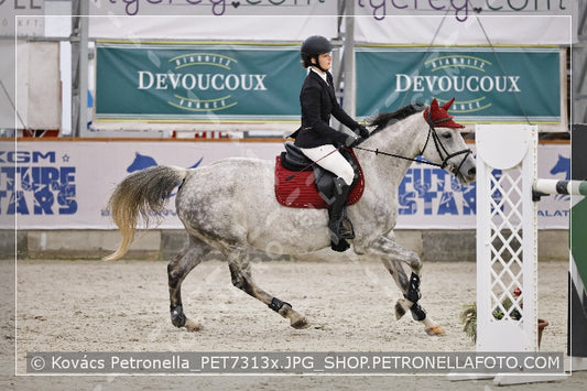 A kép az eredeti csökkentett reprezentációja