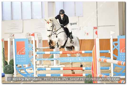 A kép az eredeti csökkentett reprezentációja