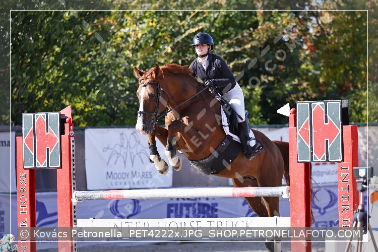 A kép az eredeti csökkentett reprezentációja