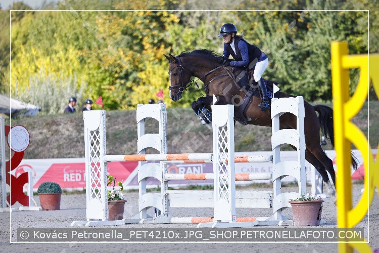 A kép az eredeti csökkentett reprezentációja