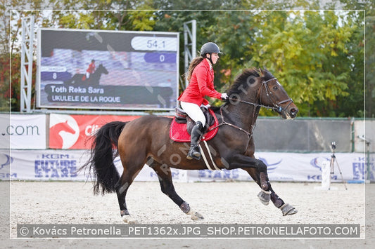A kép az eredeti csökkentett reprezentációja