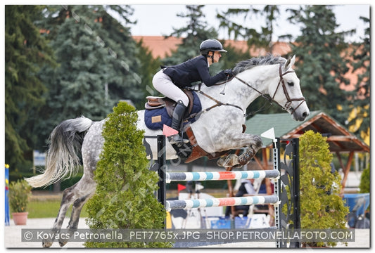 A kép az eredeti csökkentett reprezentációja