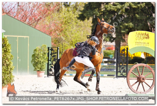 A kép az eredeti csökkentett reprezentációja