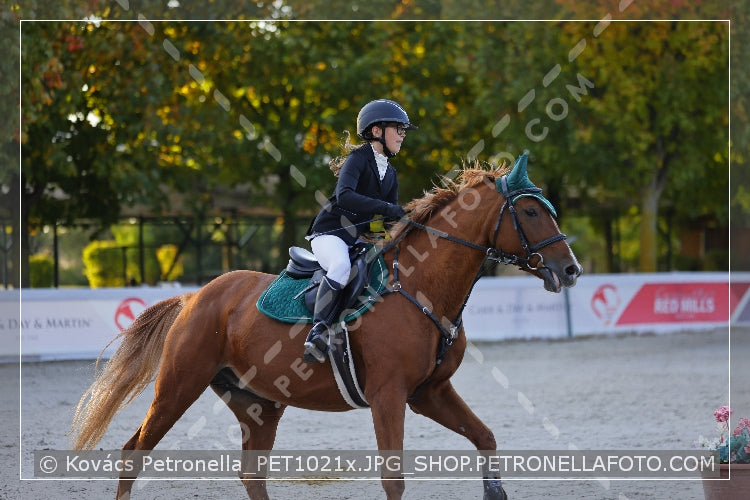 A kép az eredeti csökkentett reprezentációja