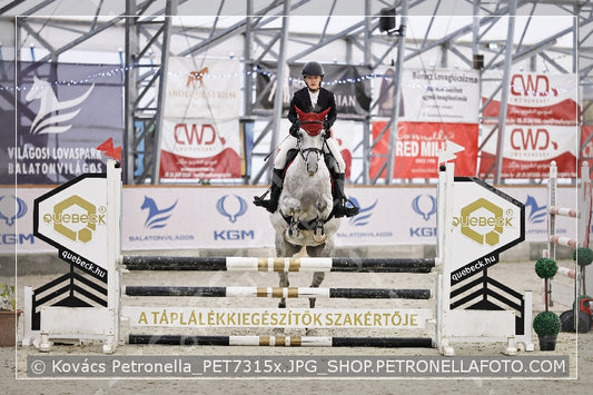 A kép az eredeti csökkentett reprezentációja