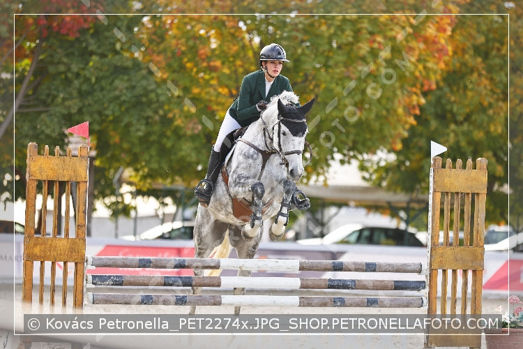 A kép az eredeti csökkentett reprezentációja