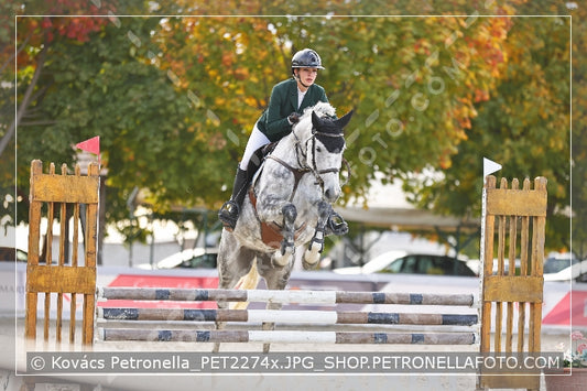 A kép az eredeti csökkentett reprezentációja