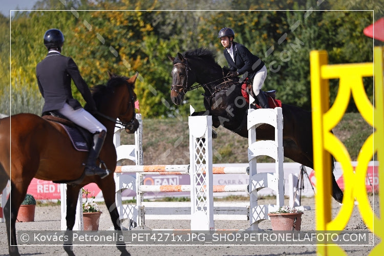A kép az eredeti csökkentett reprezentációja