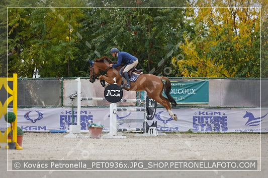 A kép az eredeti csökkentett reprezentációja