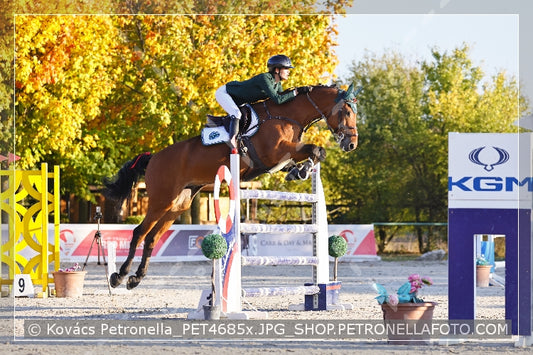 A kép az eredeti csökkentett reprezentációja