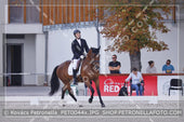 A kép az eredeti csökkentett reprezentációja