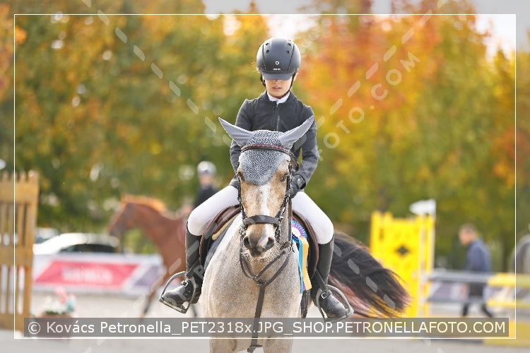 A kép az eredeti csökkentett reprezentációja