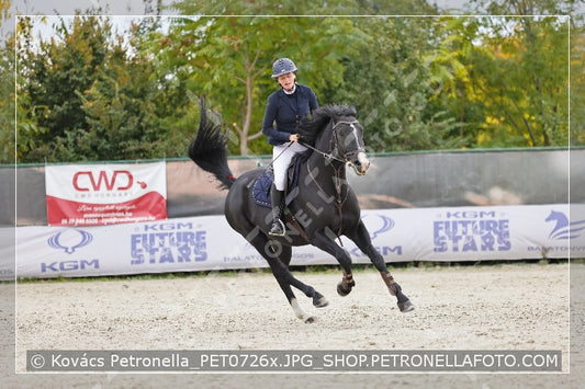 A kép az eredeti csökkentett reprezentációja