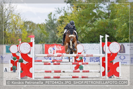 A kép az eredeti csökkentett reprezentációja