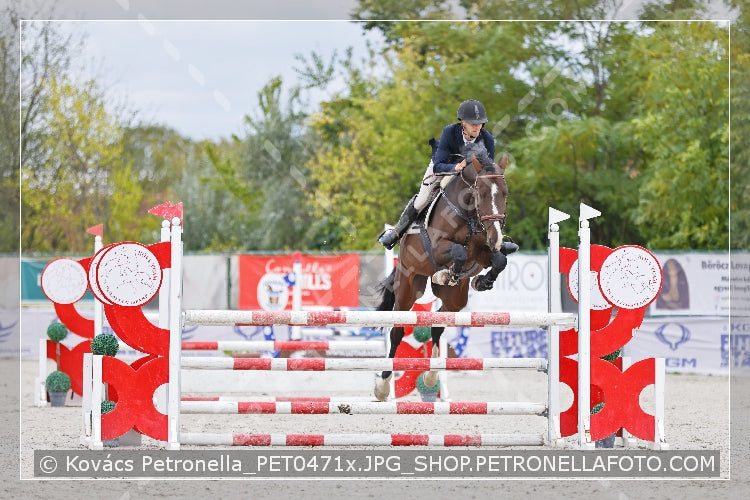 A kép az eredeti csökkentett reprezentációja