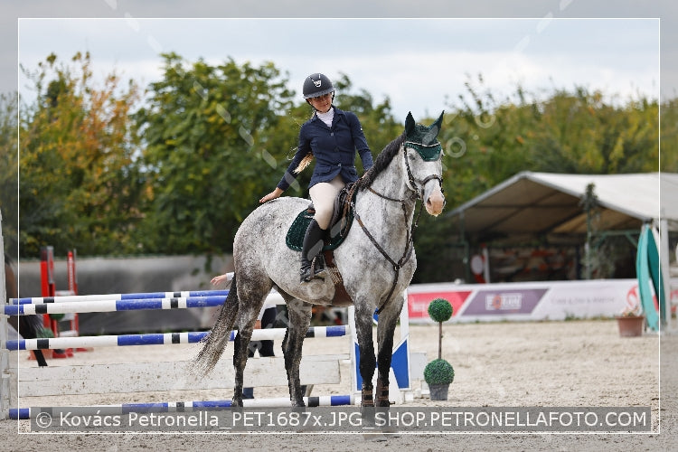 A kép az eredeti csökkentett reprezentációja