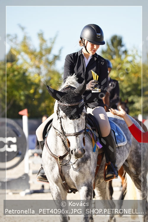 A kép az eredeti csökkentett reprezentációja