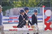 A kép az eredeti csökkentett reprezentációja