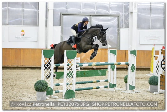 A kép az eredeti csökkentett reprezentációja