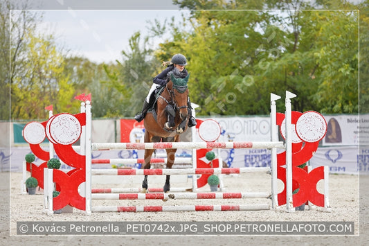 A kép az eredeti csökkentett reprezentációja
