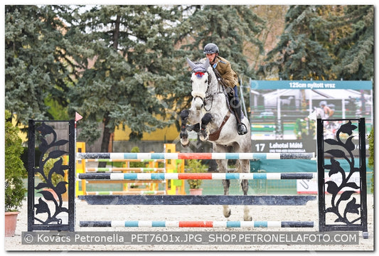 A kép az eredeti csökkentett reprezentációja