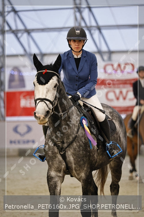 A kép az eredeti csökkentett reprezentációja