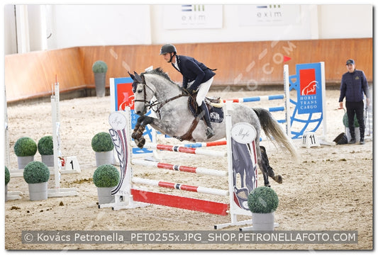 A kép az eredeti csökkentett reprezentációja