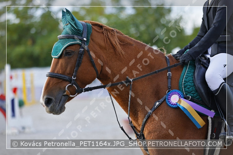 A kép az eredeti csökkentett reprezentációja