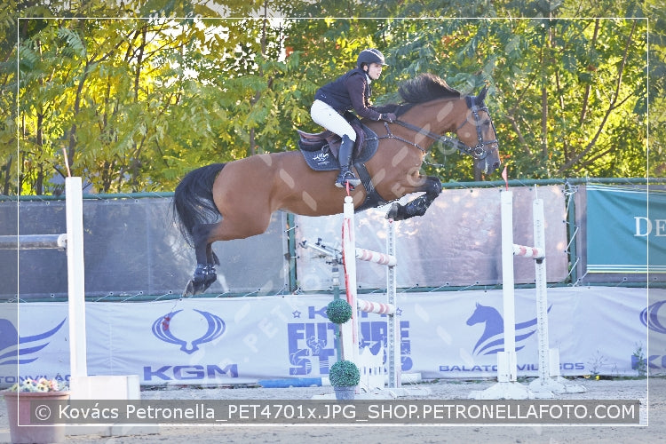 A kép az eredeti csökkentett reprezentációja